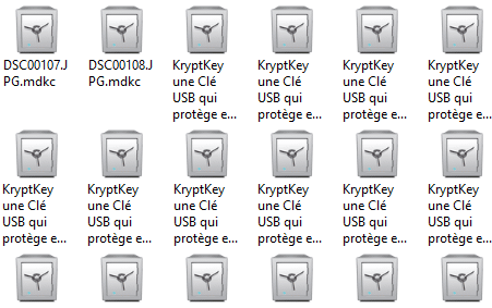 utilisation kryptkey 25