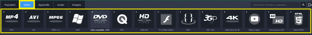 Movavi Video Converter 17 formats compatibles 1