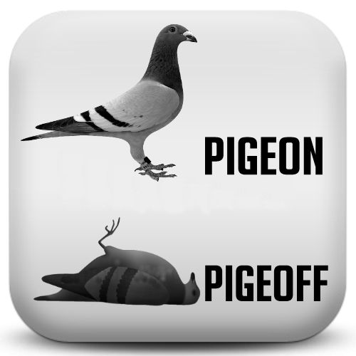 pigeon arnaque antivirus