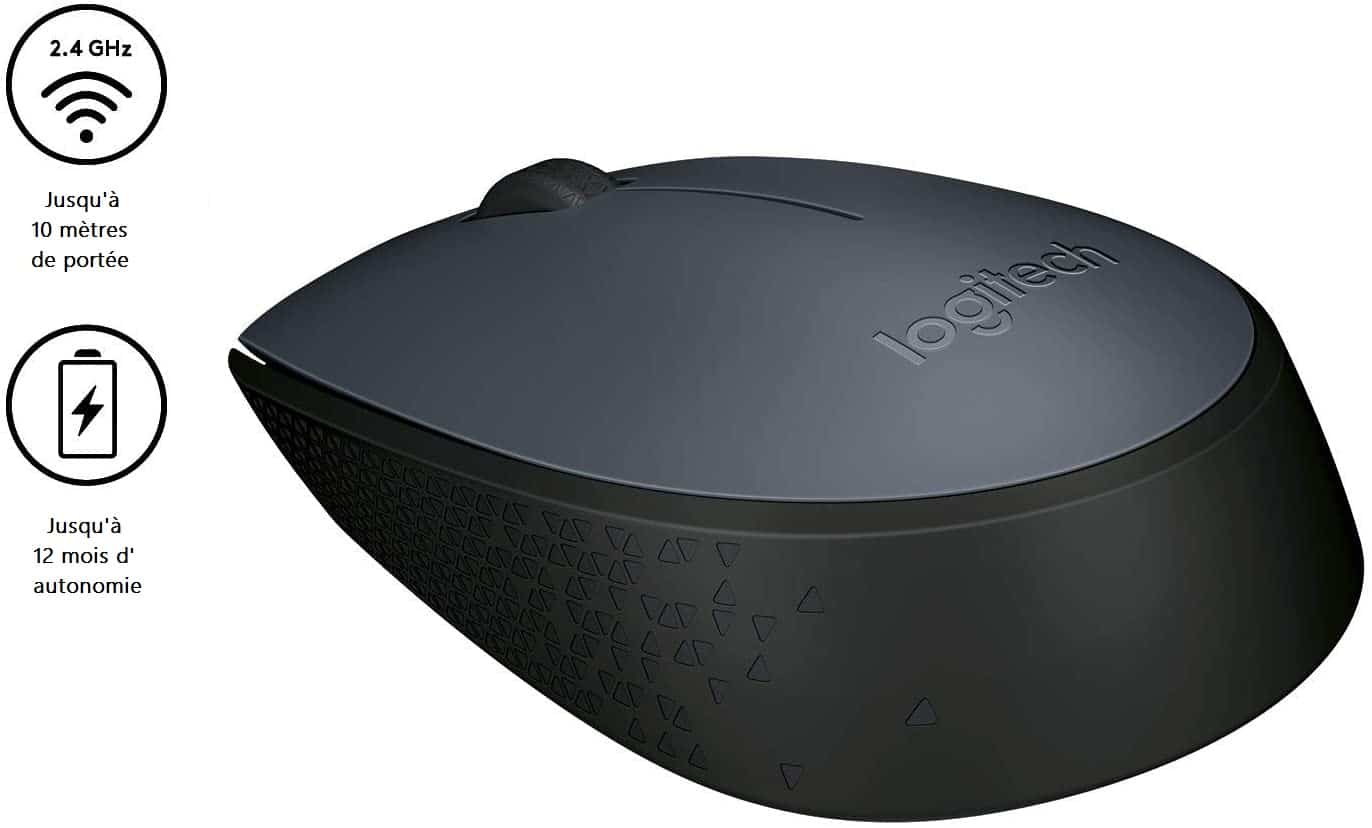Comment Faire Fonctionner Souris Sans Fil Logitech Asixm170